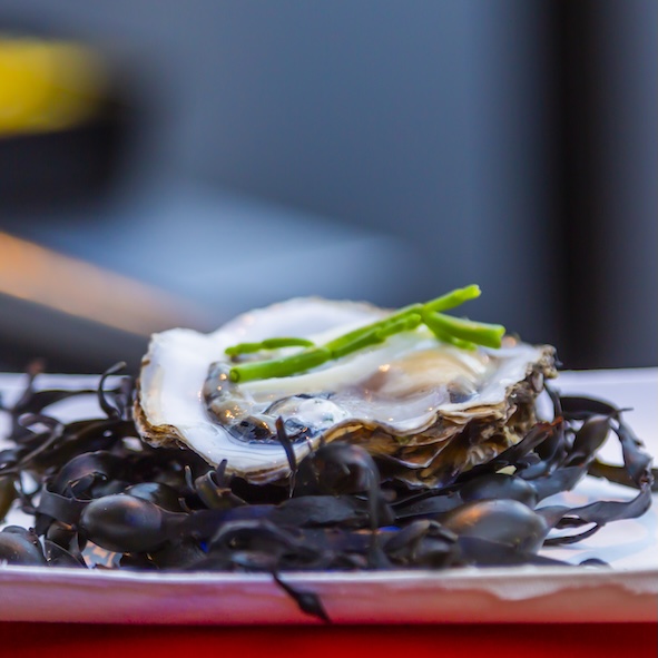 2025_05_23 De Zeeuwse Chef JJ_Q9A2760 VK